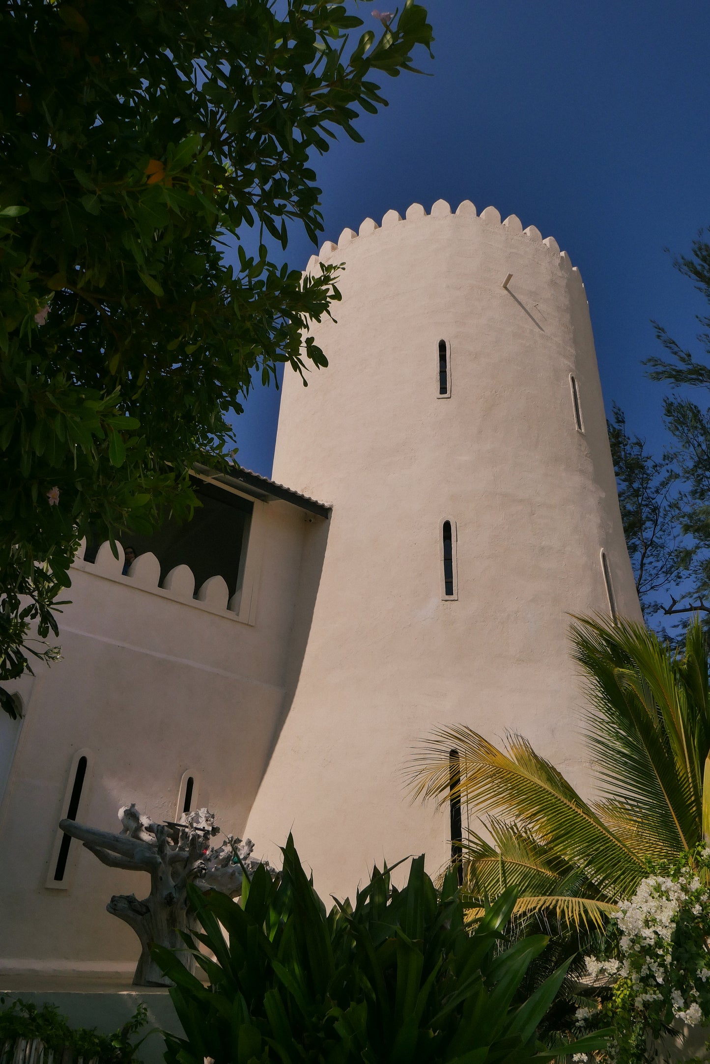 The Fort