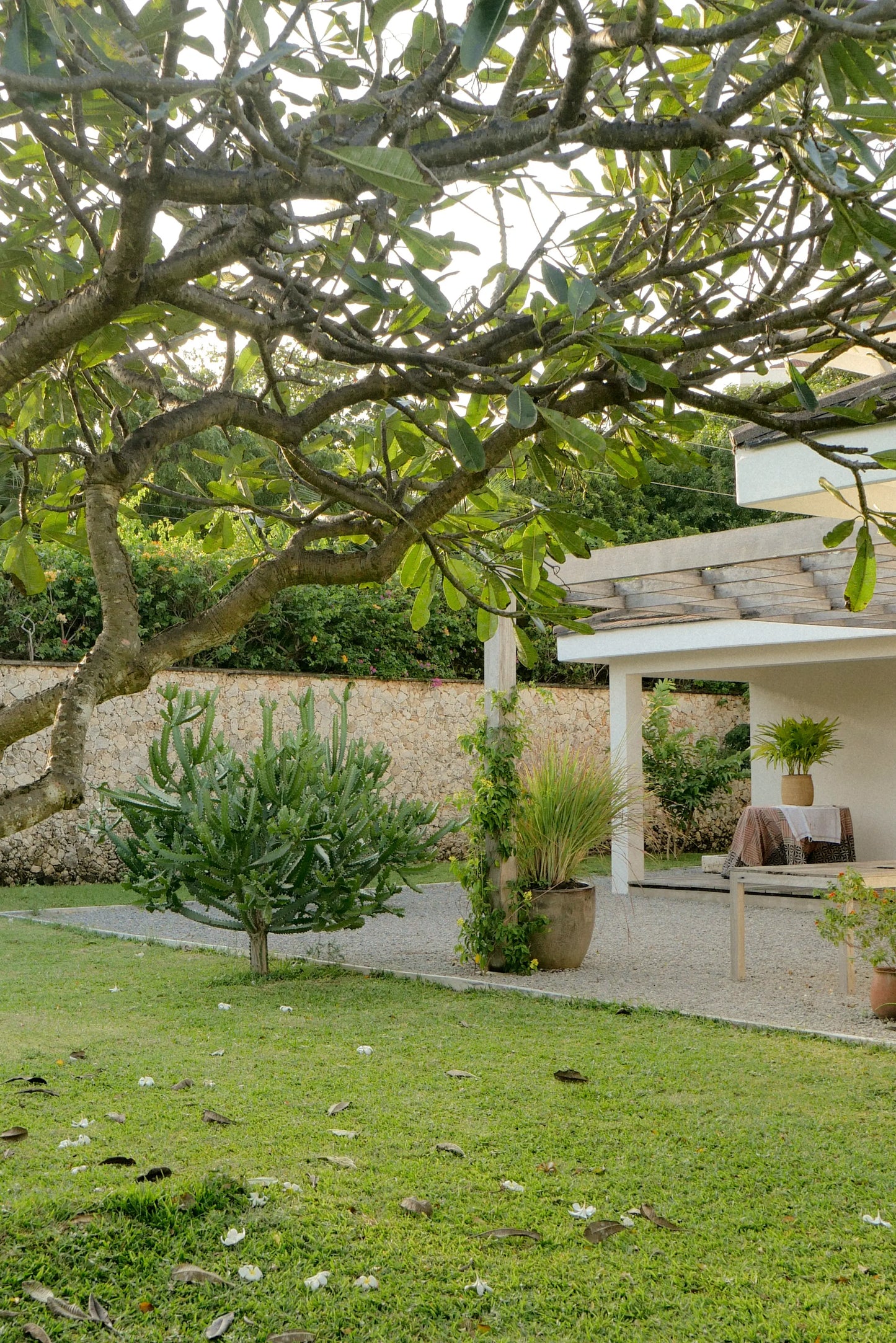 Casa Moja