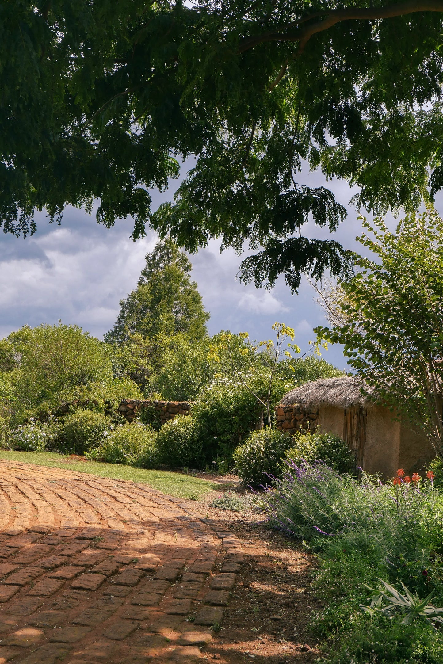 Olepangi Farm
