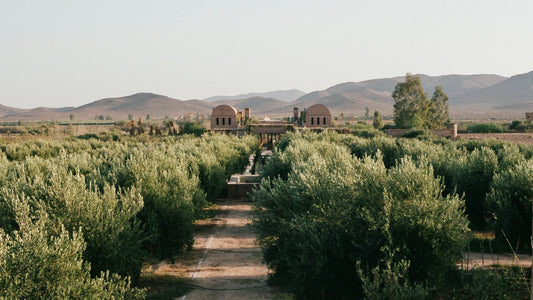 Farasha Farmhouse